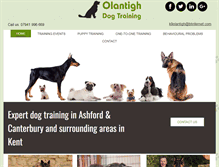 Tablet Screenshot of olantigh.com